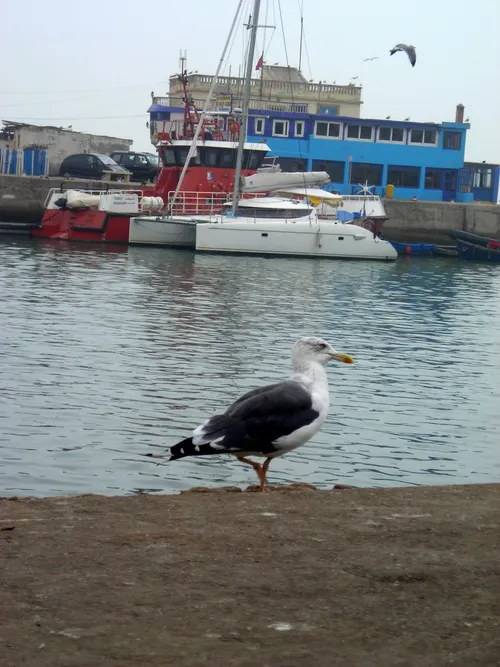  les trésors cachés de Casablanca